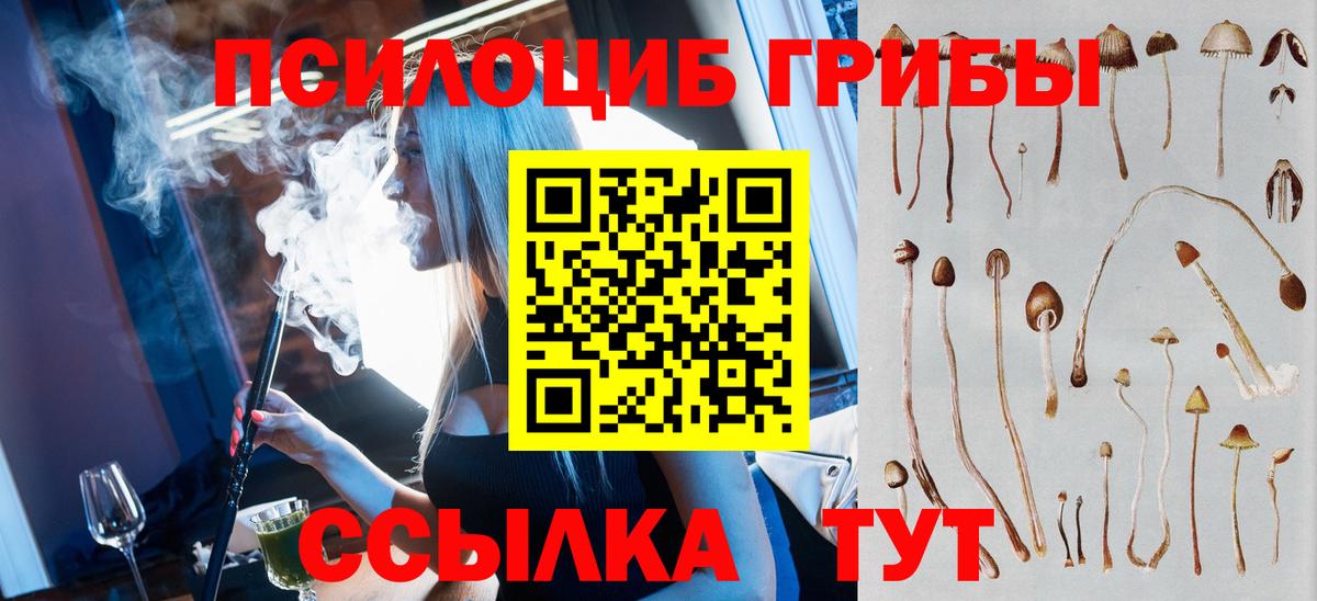 как найти закладки  Галлюциногенные грибы Psilocybe  Вход с VPN  Дзержинский  Псилоцибиновые грибы Psilocybine cubensis 